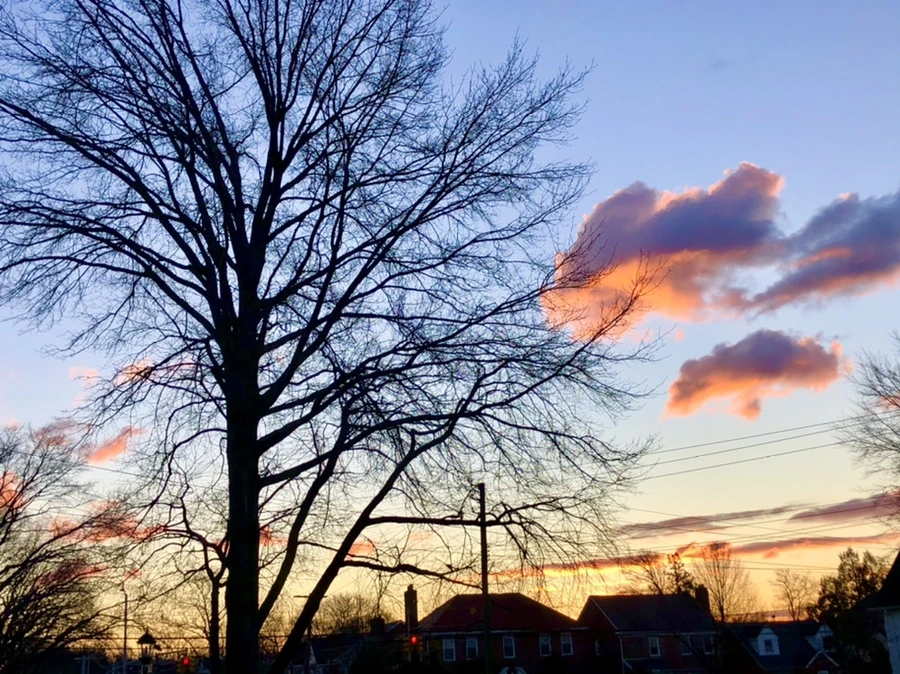 IMG_5163.jpg?type=w966