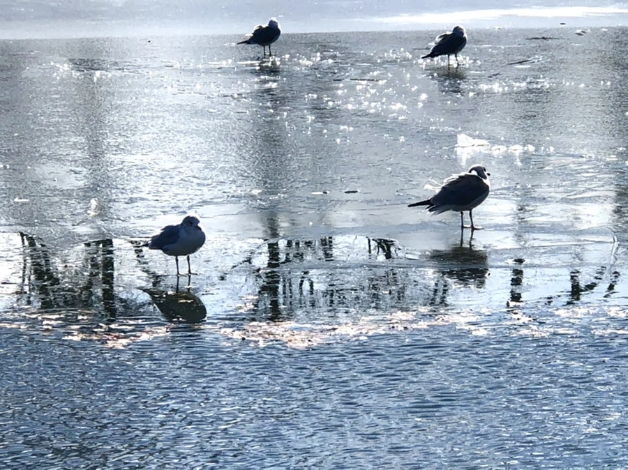 IMG_6879.jpg?type=w966