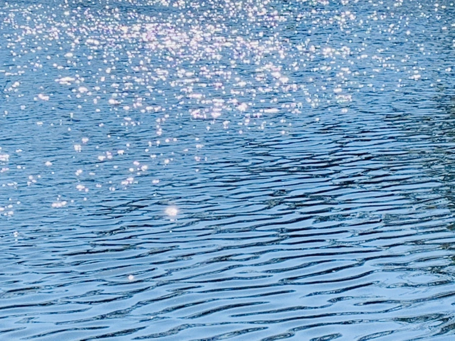 IMG_0030.jpg?type=w966