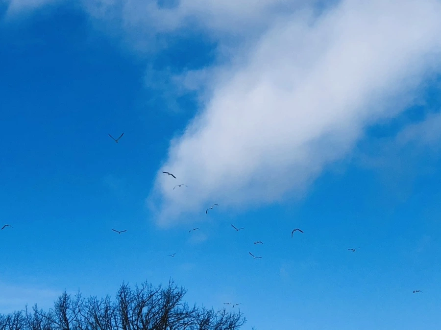 IMG_2858.jpg?type=w966