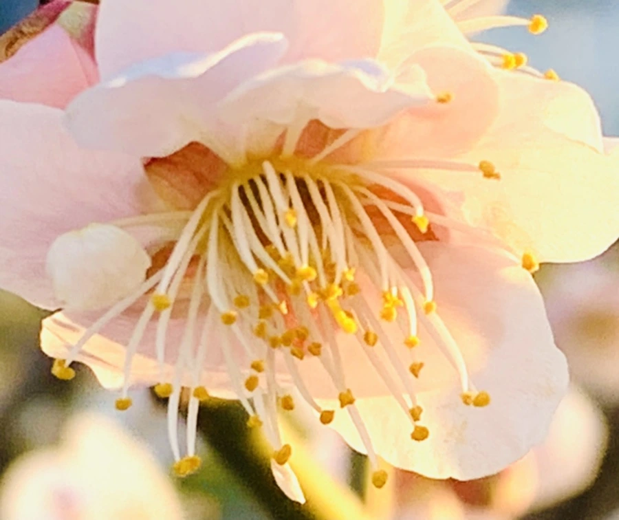 IMG_0911.jpg?type=w966