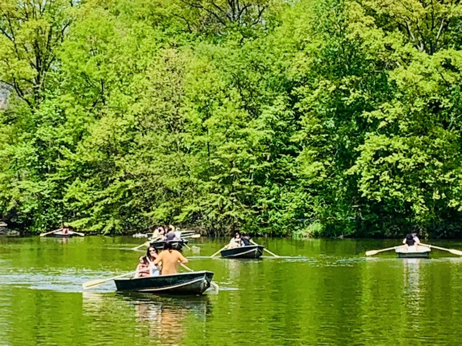 IMG_8820.jpg?type=w966