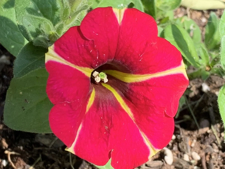 IMG_4679.jpg?type=w966