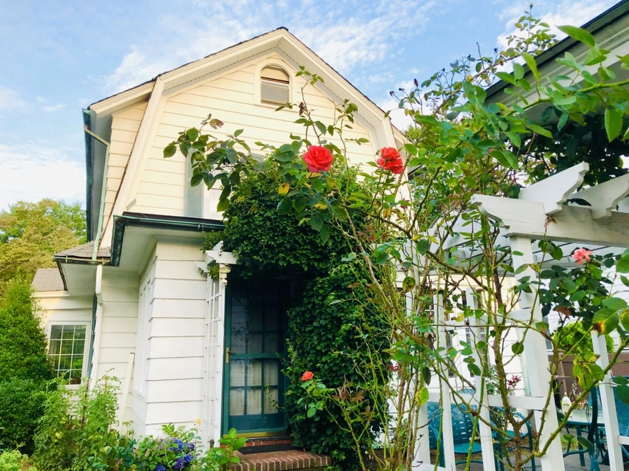 IMG_3665.jpg?type=w966