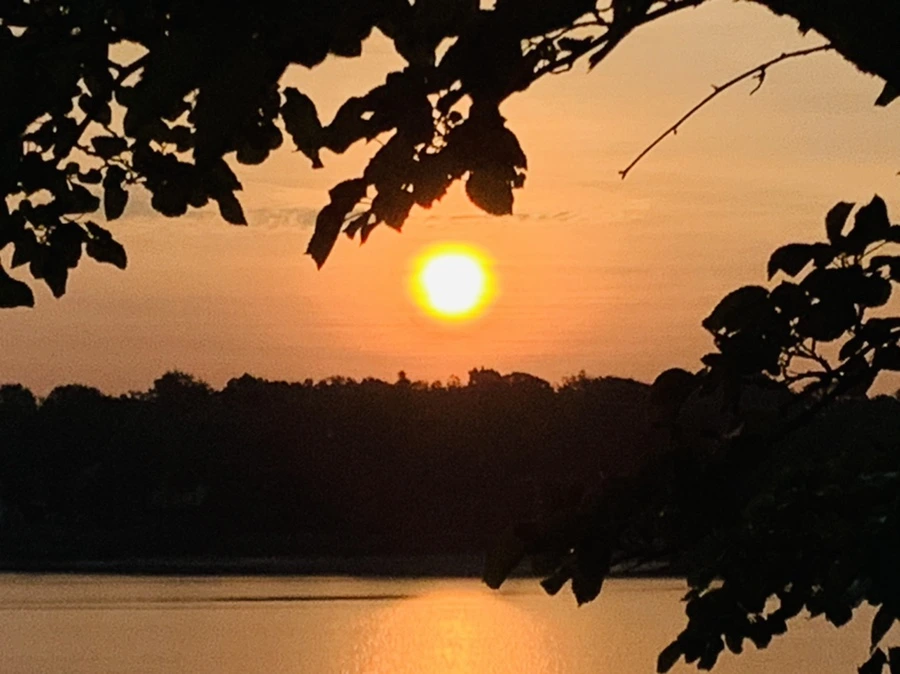 IMG_7756.jpg?type=w966