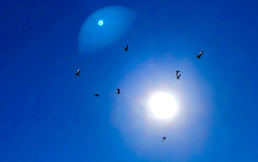 IMG_7854.jpg?type=w966