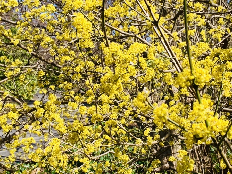 IMG_5740.jpg?type=w966