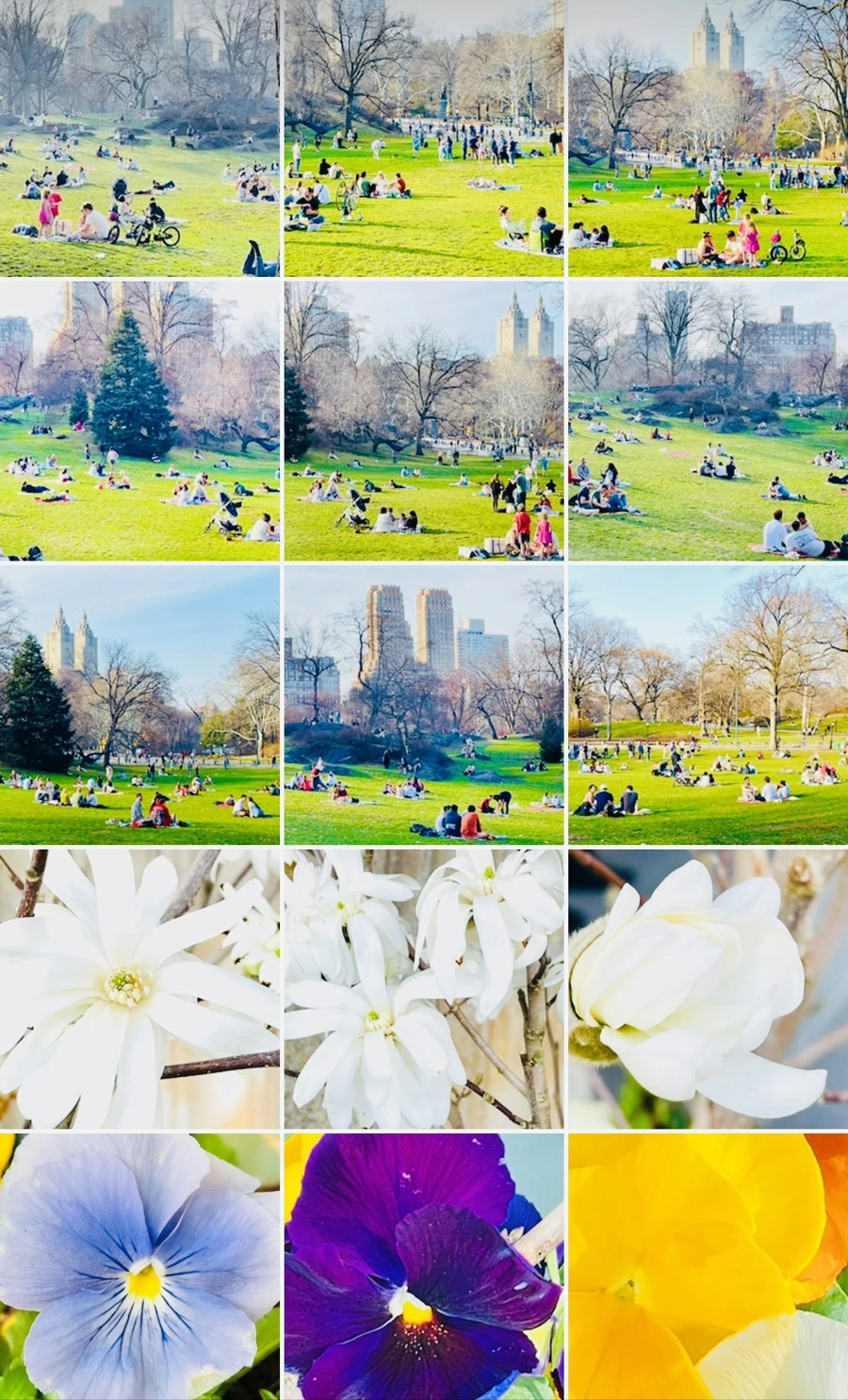 IMG_6040.jpg?type=w966