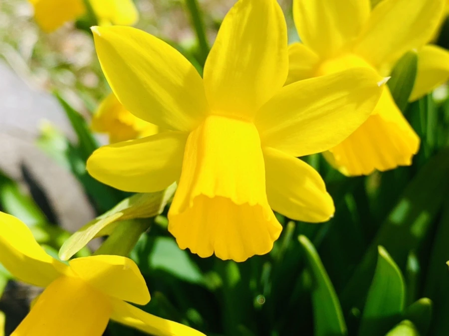 IMG_3260.jpg?type=w966