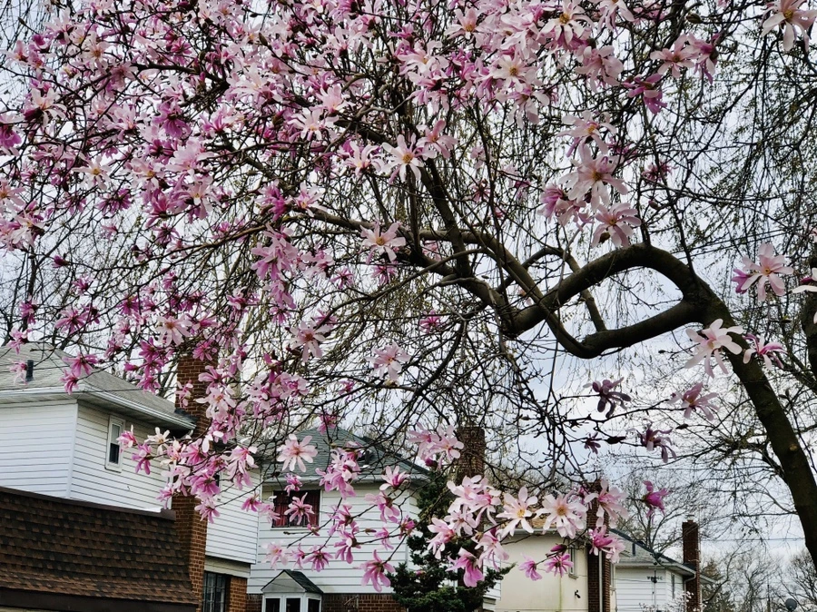 IMG_6531.jpg?type=w966