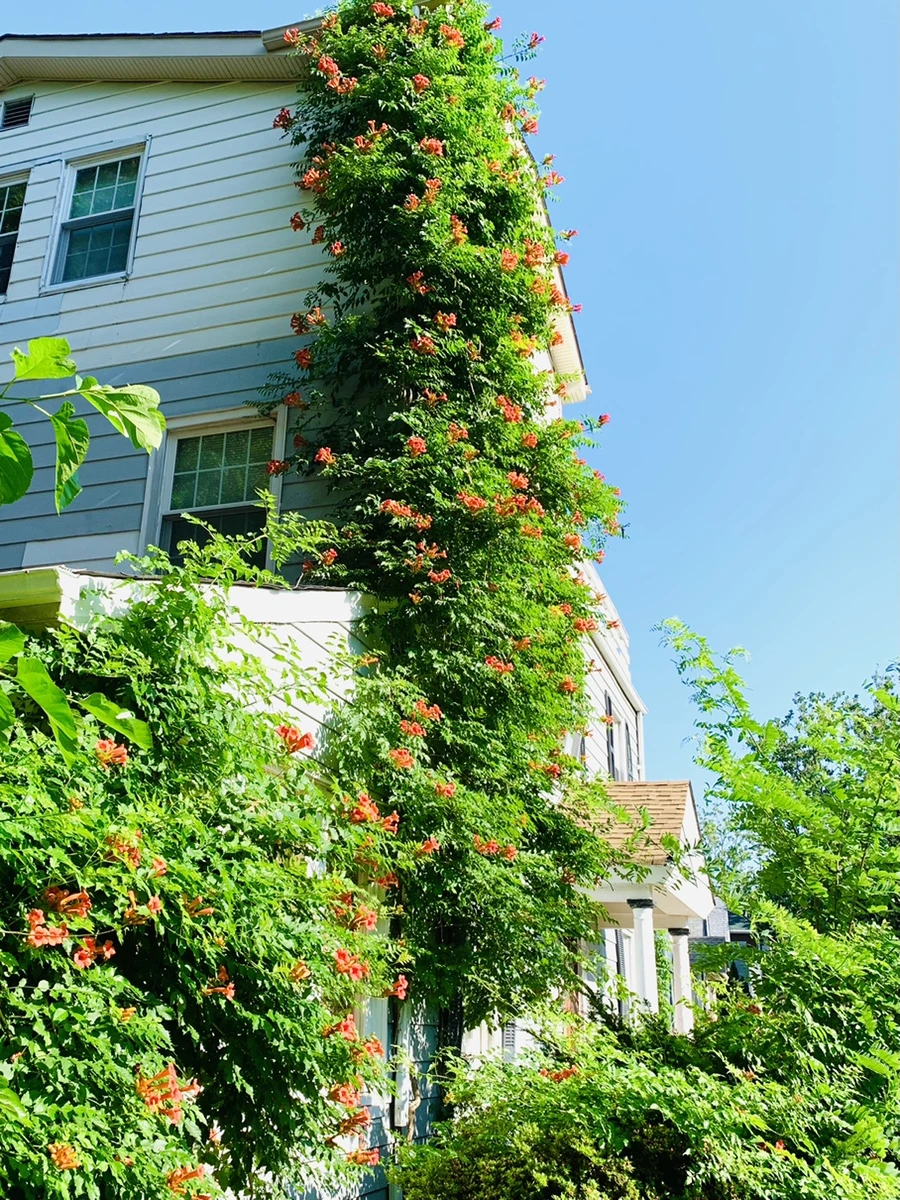 IMG_8698.jpg?type=w966