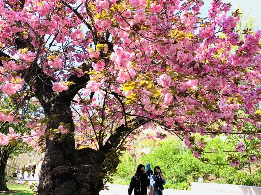 IMG_6490.jpg?type=w966