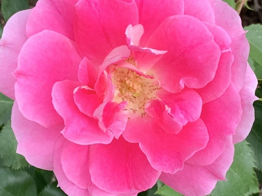 OeXAGbh49UR02eT_crSaeN8EedE