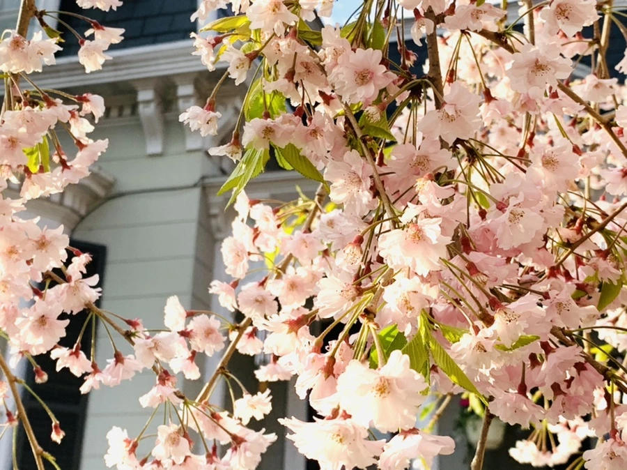 IMG_3670.jpg?type=w966