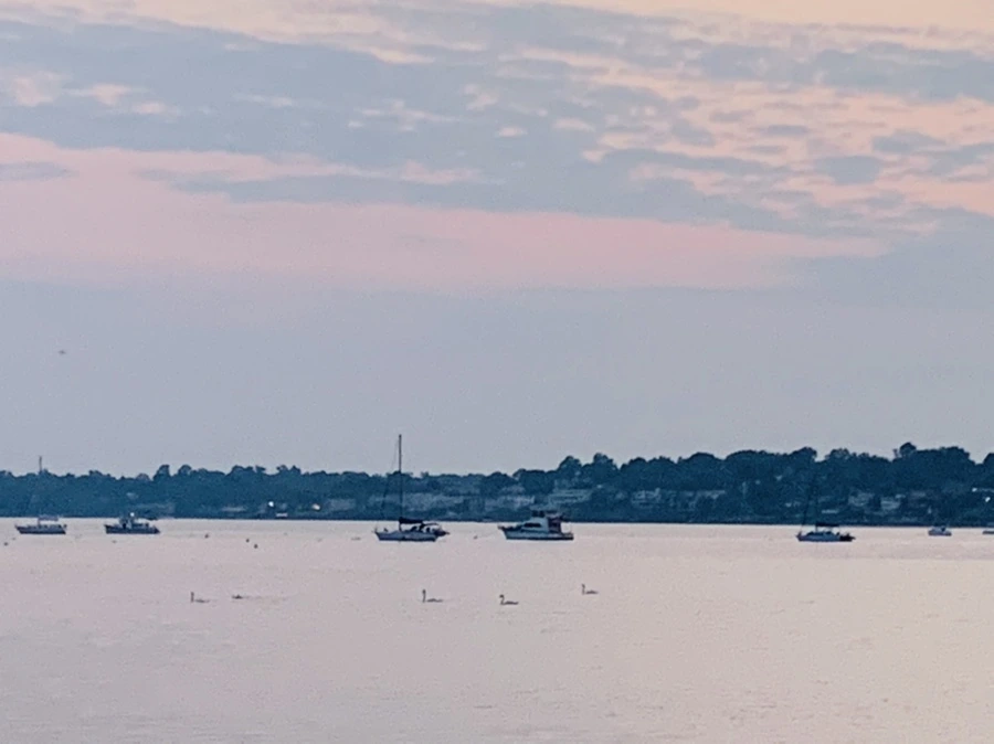 IMG_2285.jpg?type=w966