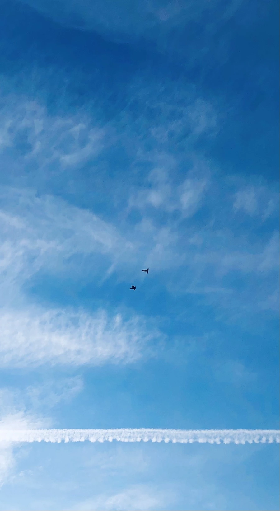 IMG_2981.jpg?type=w966