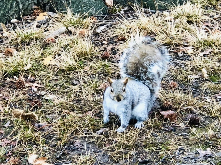 IMG_9550.jpg?type=w966