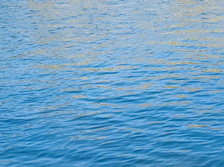 IMG_9949.jpg?type=w966