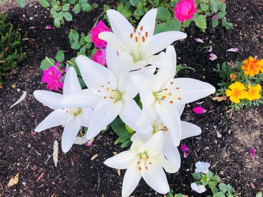 IMG_9374.jpg?type=w966