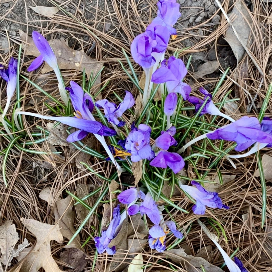 IMG_1423.jpg?type=w966