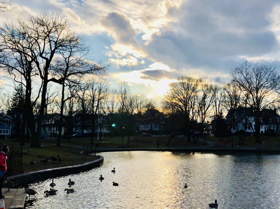 IMG_4409.jpg?type=w966