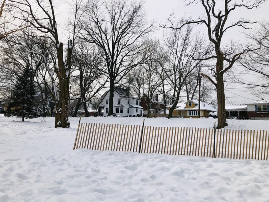 IMG_2145.jpg?type=w966