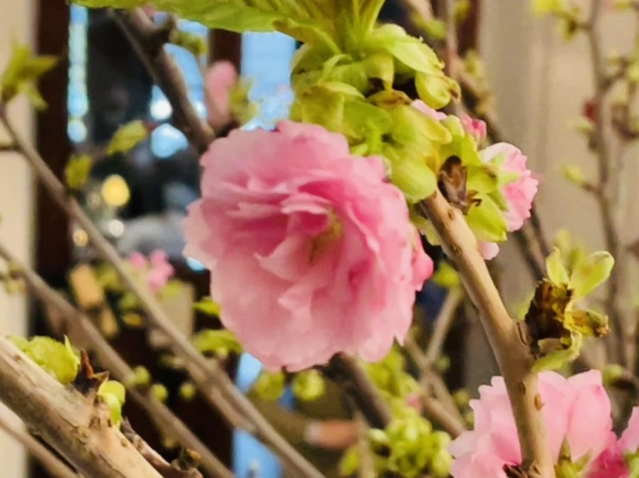 IMG_8300.jpg?type=w966