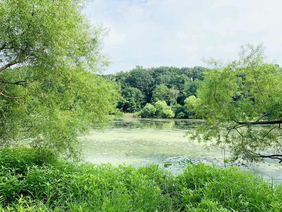 IMG_1198.jpg?type=w966