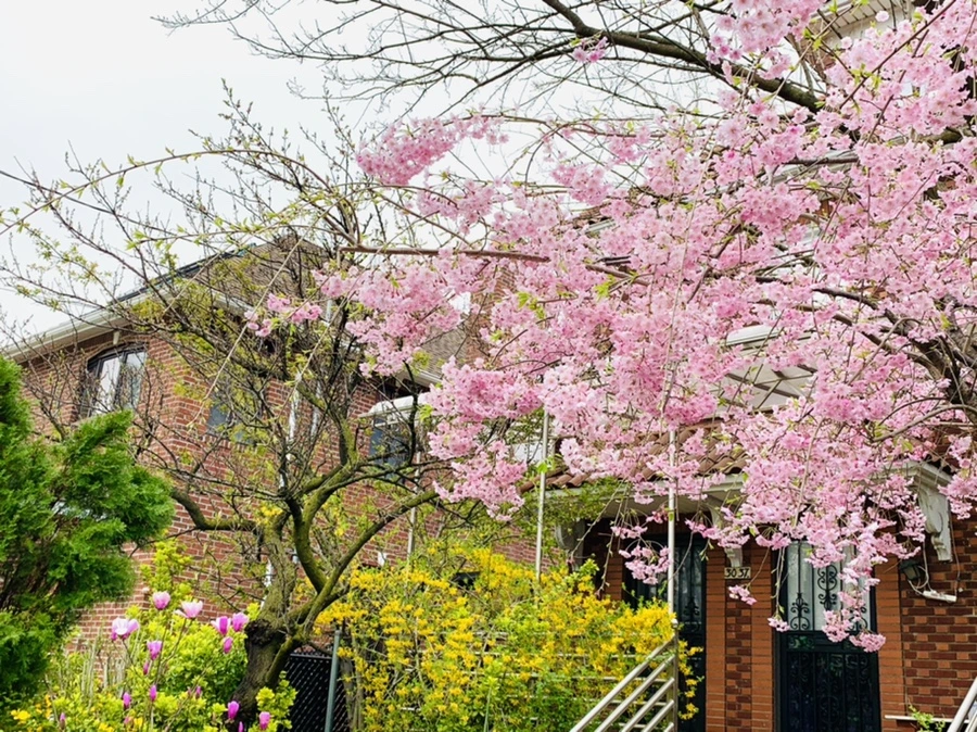 IMG_2135.jpg?type=w966