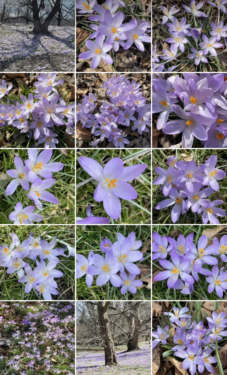 IMG_5405.jpg?type=w966