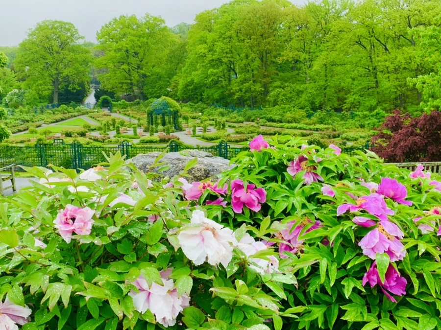 IMG_9992.jpg?type=w966