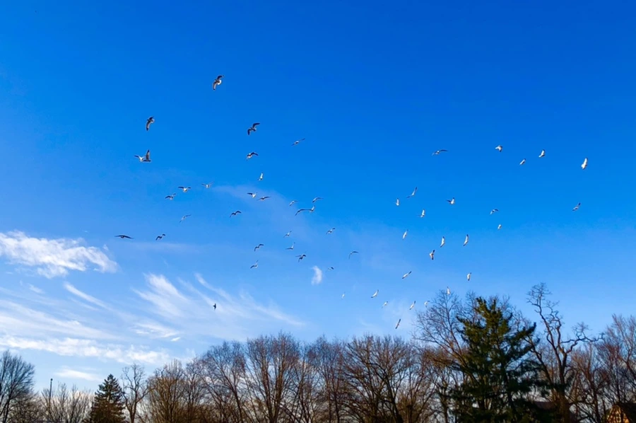 IMG_0894.jpg?type=w966