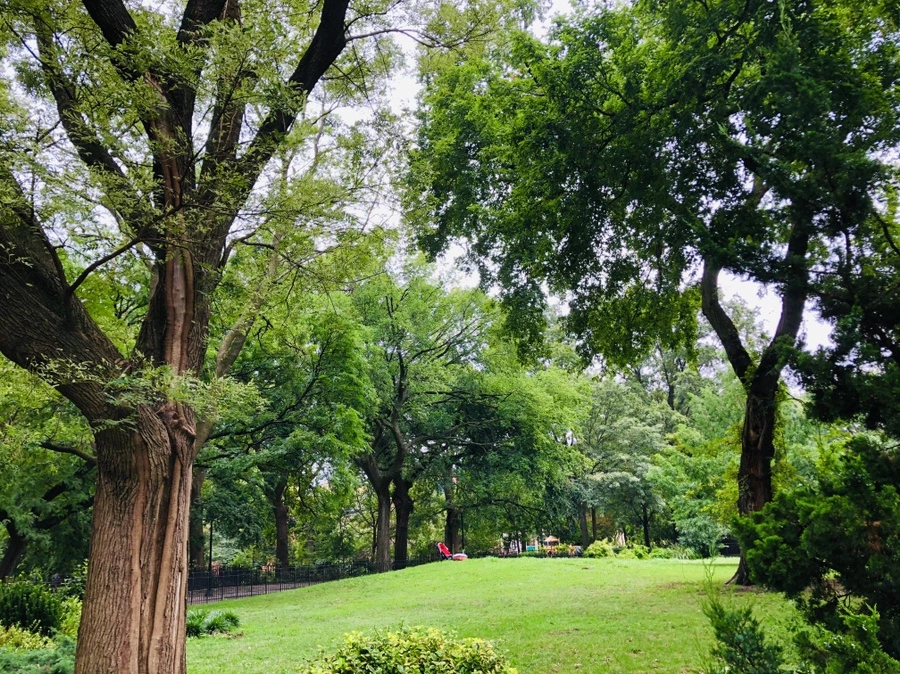 IMG_6171.jpg?type=w966