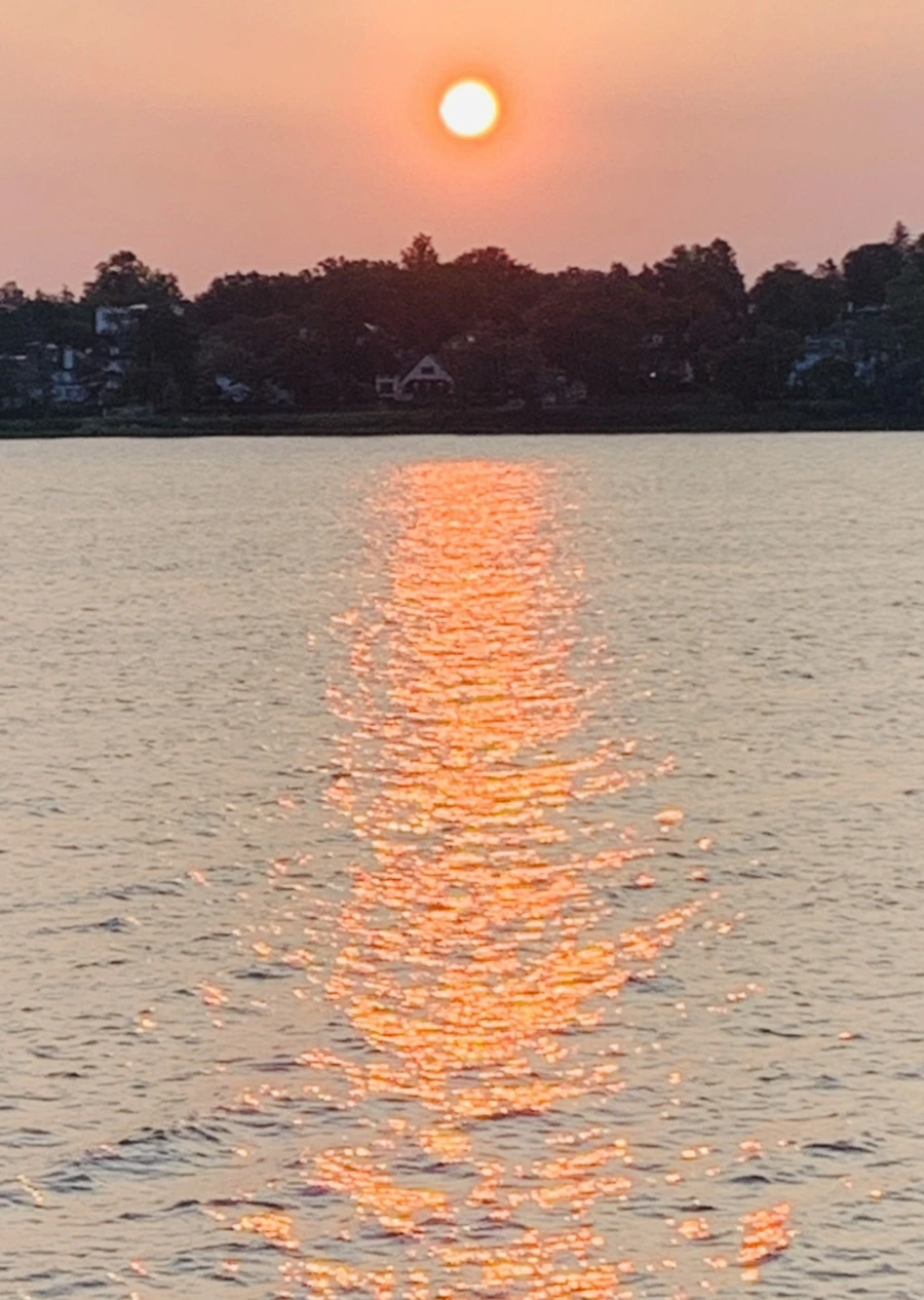 IMG_3464.jpg?type=w966