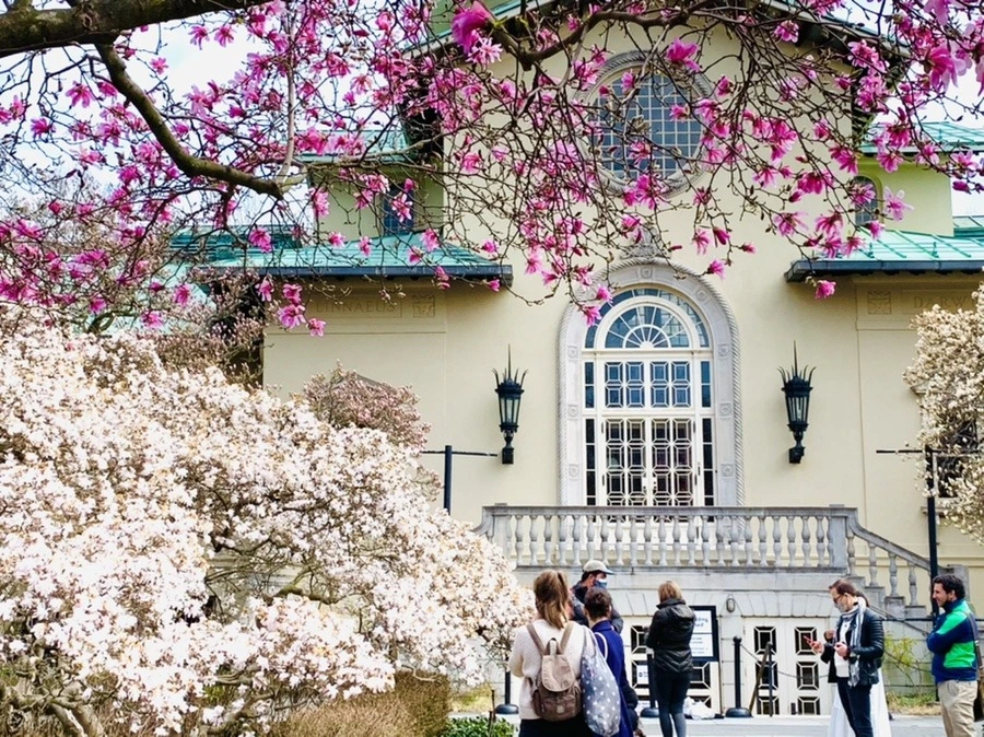 vqMfO9uktqwAal7ij-CsK5FObjo