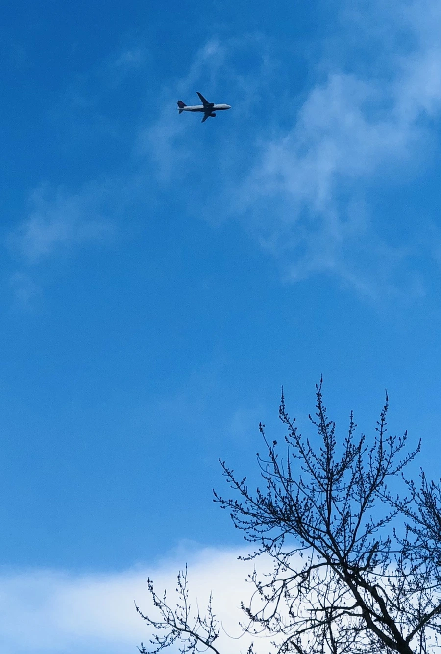 IMG_3720.jpg?type=w966