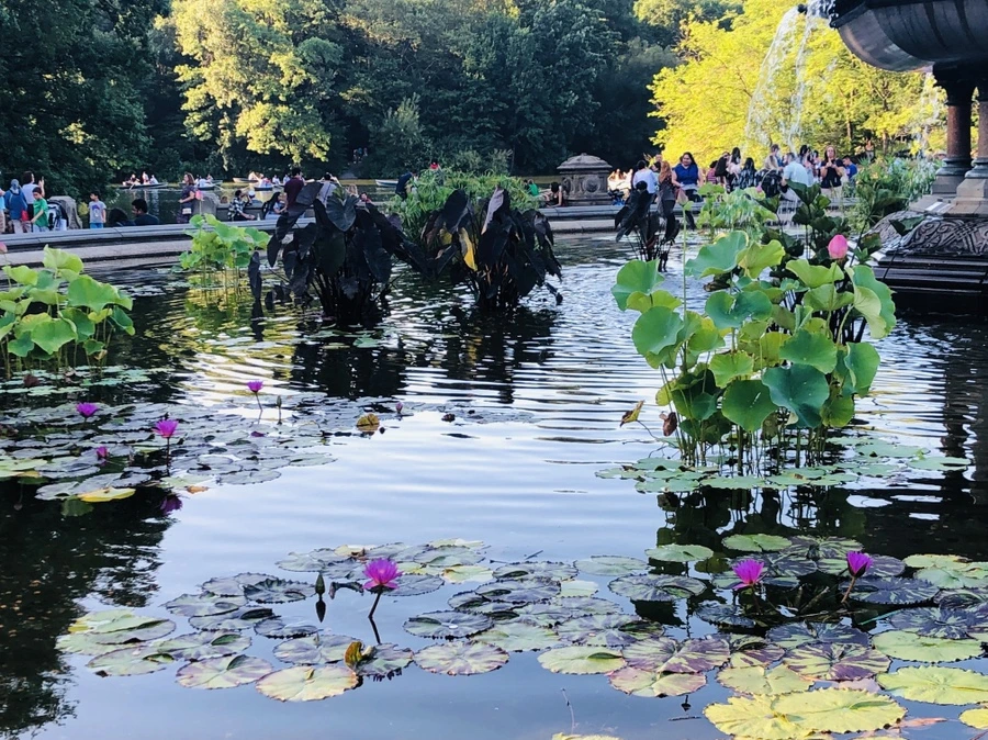 IMG_7399.jpg?type=w966