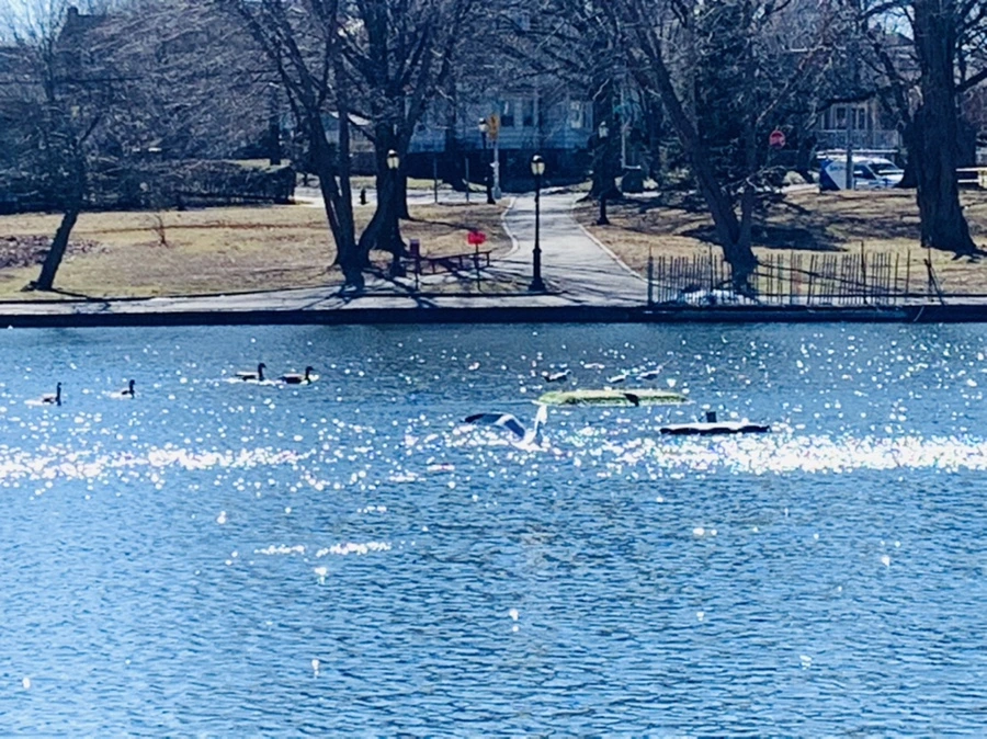 IMG_7646.jpg?type=w966