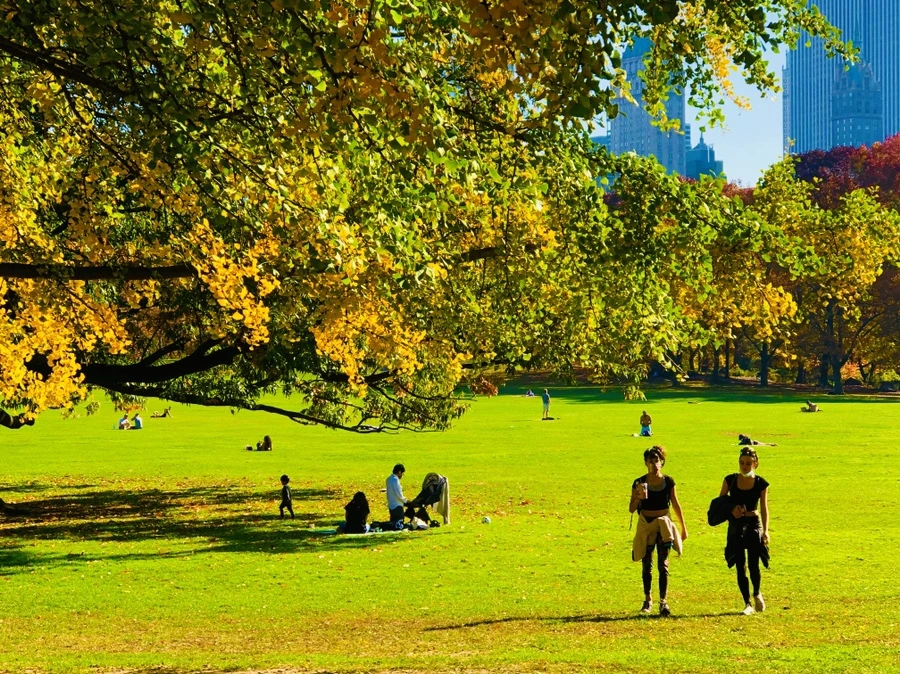 IMG_4352.jpg?type=w966