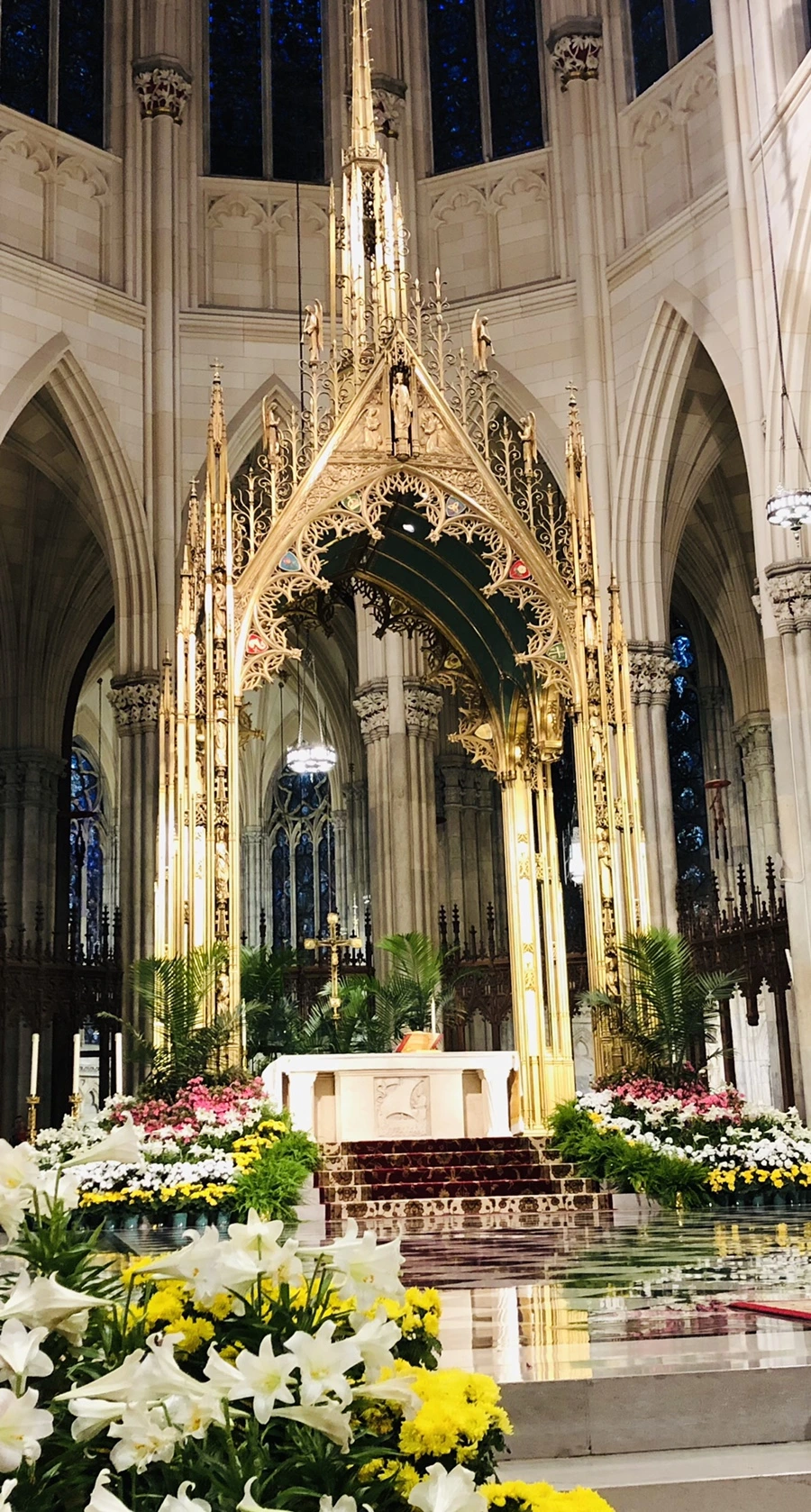 IMG_3838.jpg?type=w966