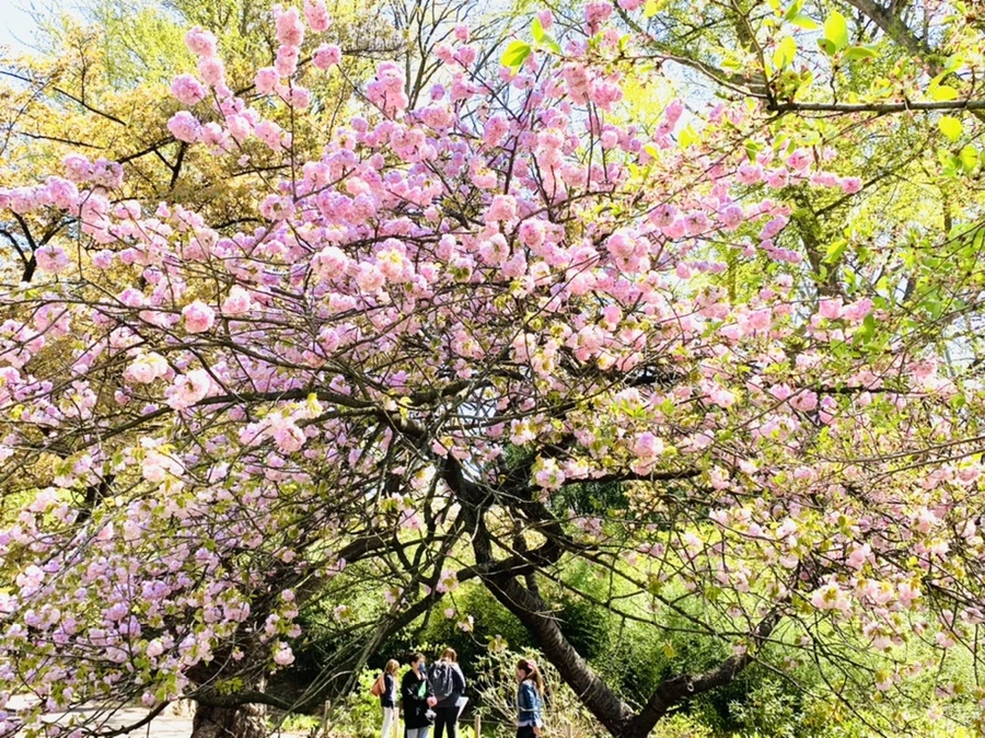 IMG_4657.jpg?type=w966