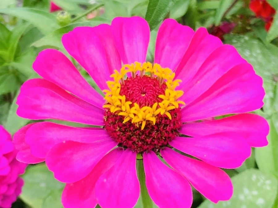 IMG_1180.jpg?type=w966