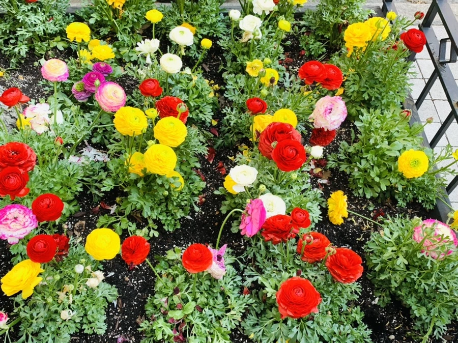 IMG_5399.jpg?type=w966