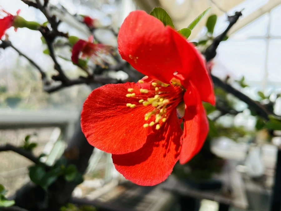 IMG_5219.jpg?type=w966