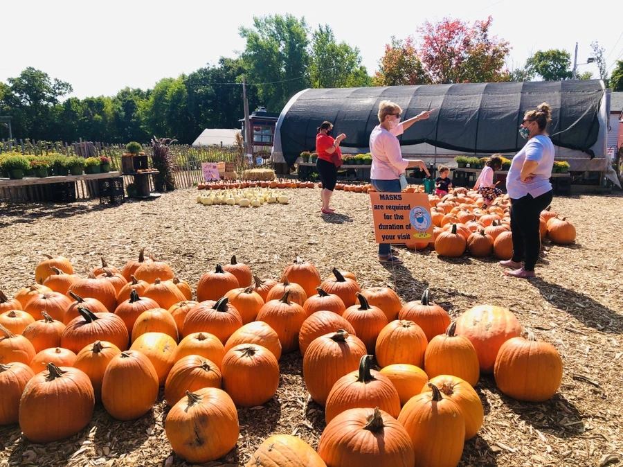 IMG_0754.jpg?type=w966