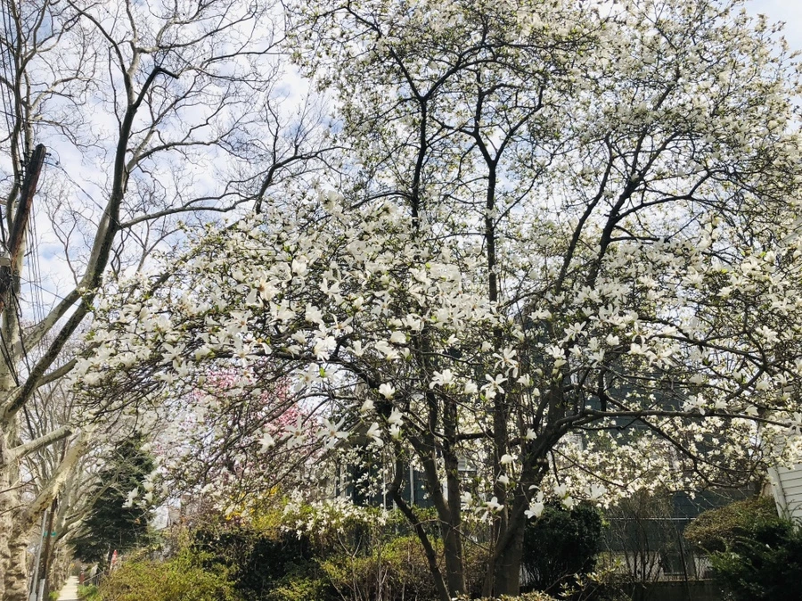 IMG_2808.jpg?type=w966