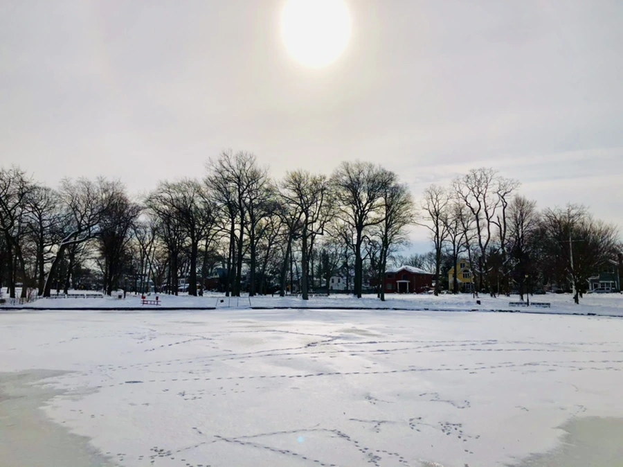 IMG_1706.jpg?type=w966