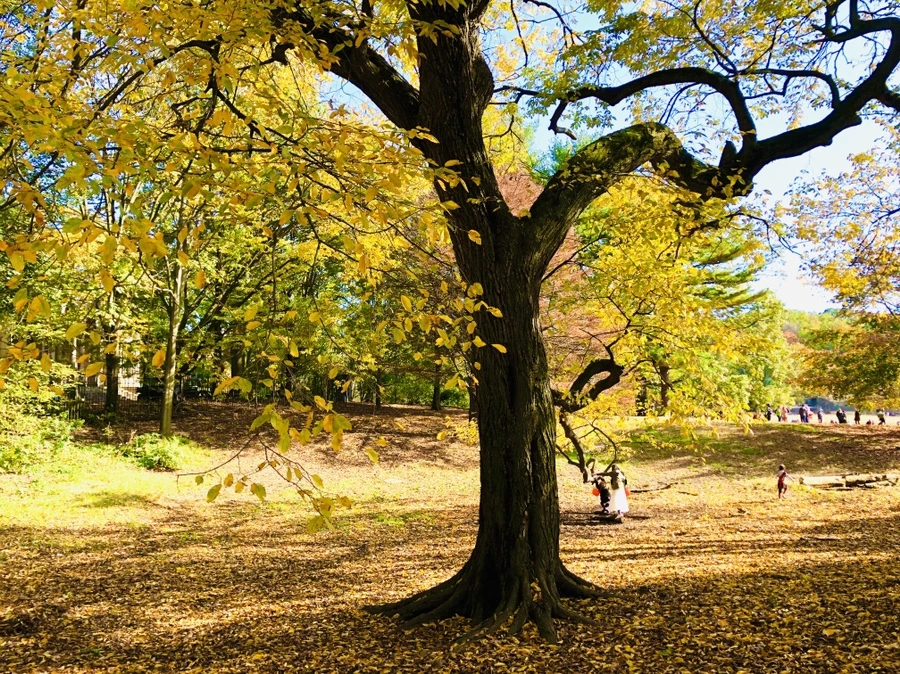 IMG_3215.jpg?type=w966