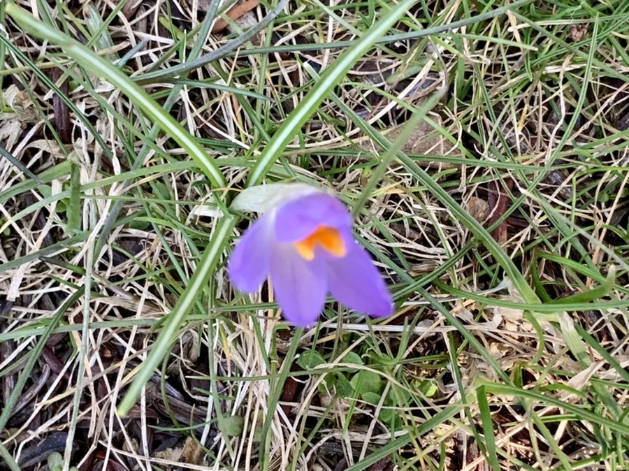 IMG_9223.jpg?type=w966