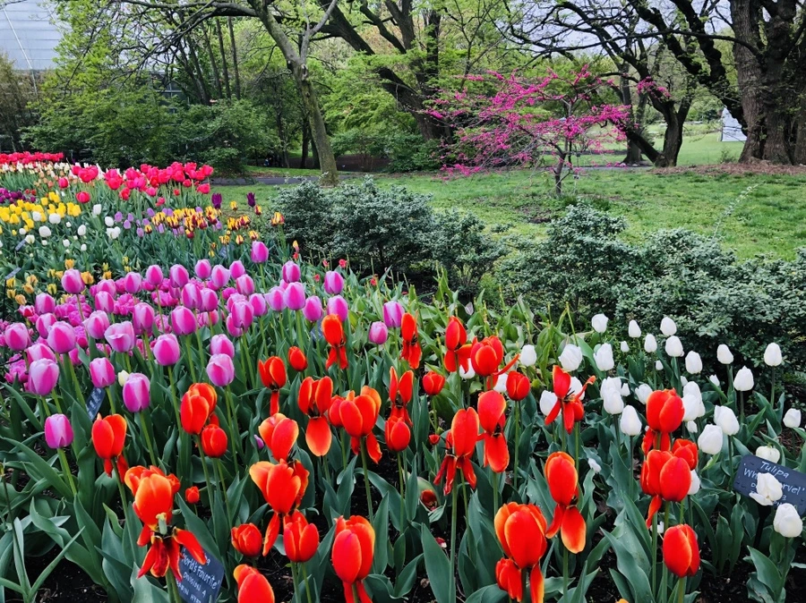 IMG_3725.jpg?type=w966